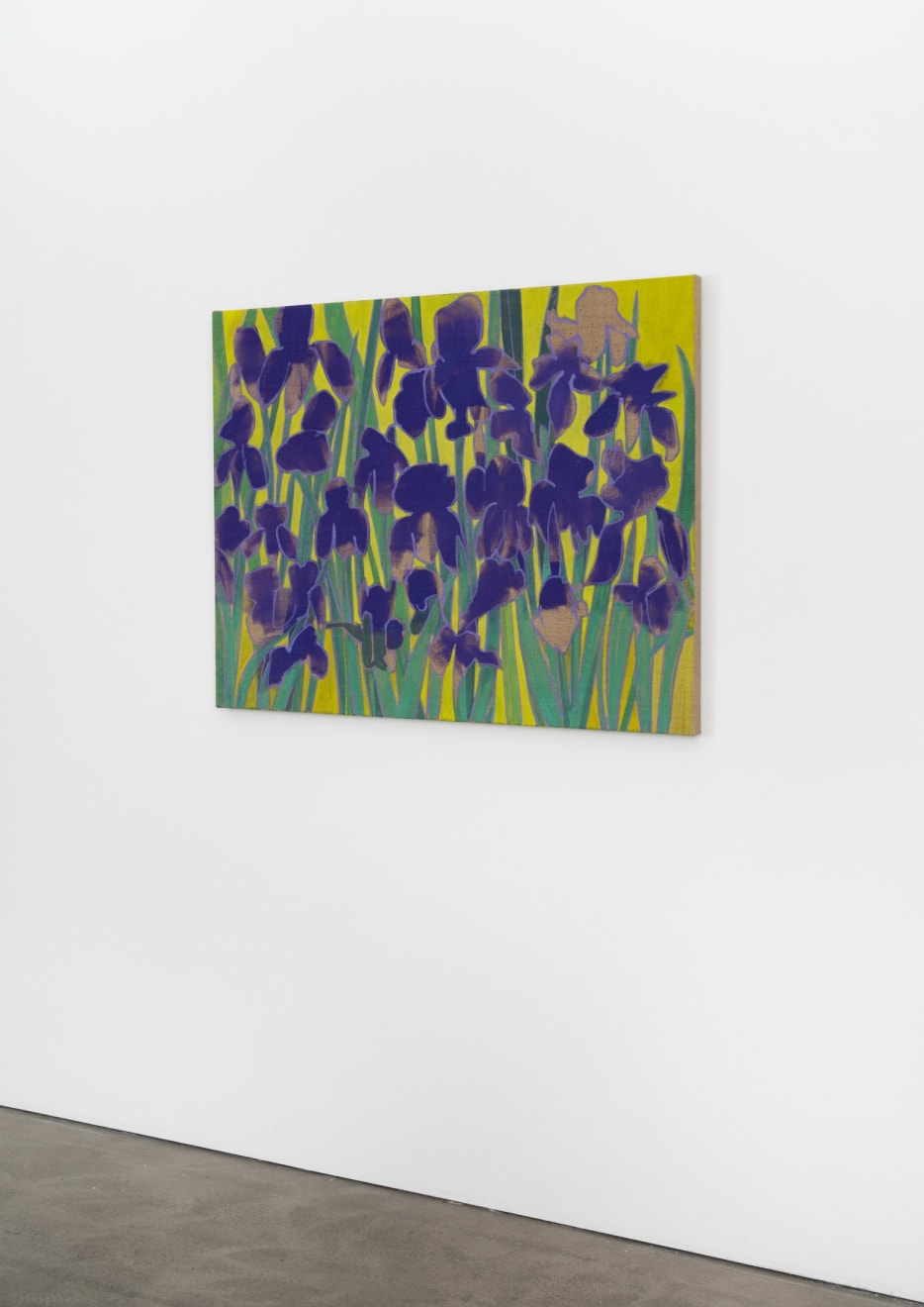 Eric Dever, Irises II, Villa Francesco, 2024