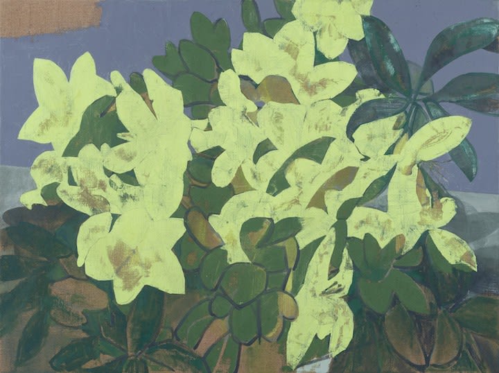 Eric Dever, Hellebores, Villa Francesco, 2022