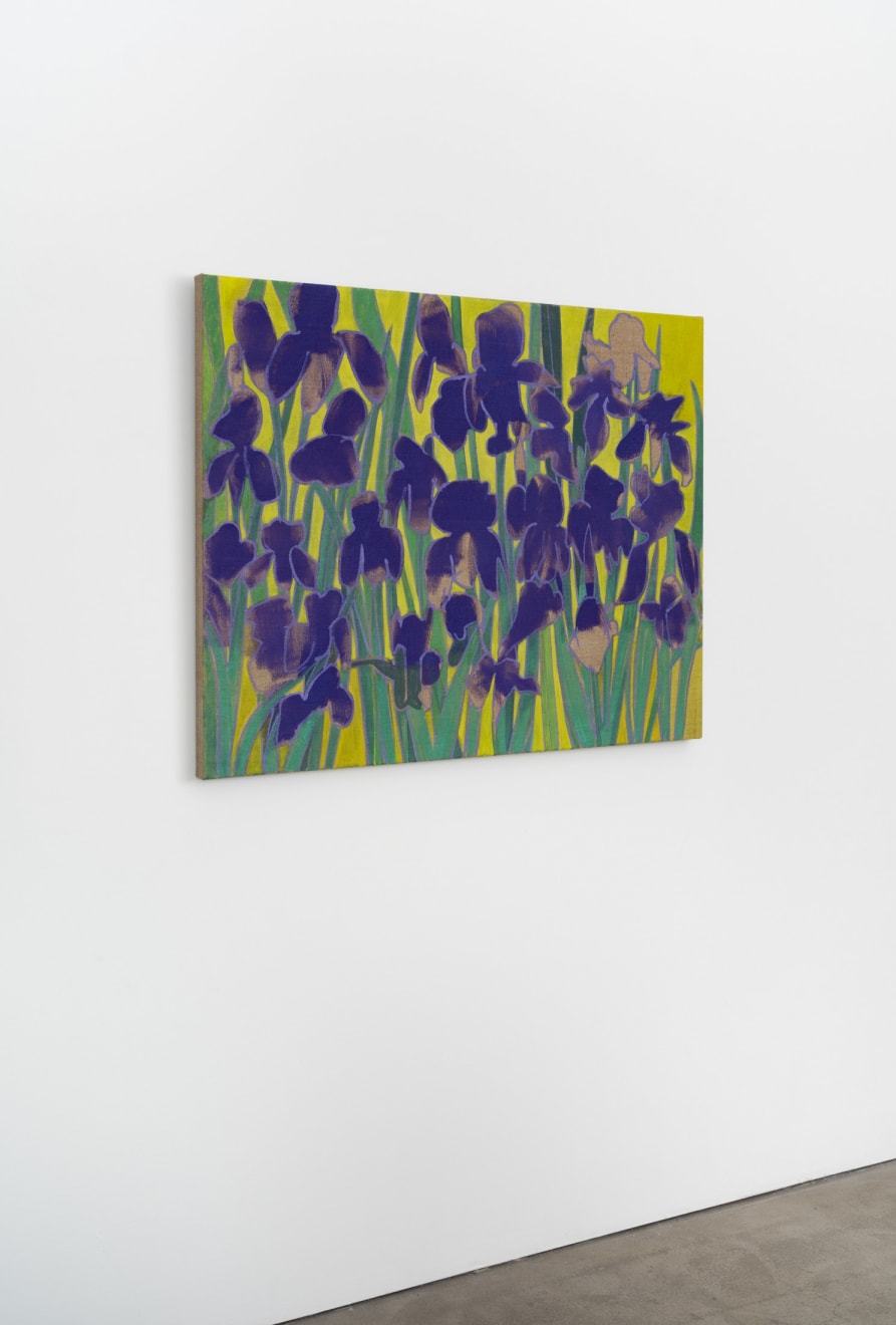 Eric Dever, Irises II, Villa Francesco, 2024