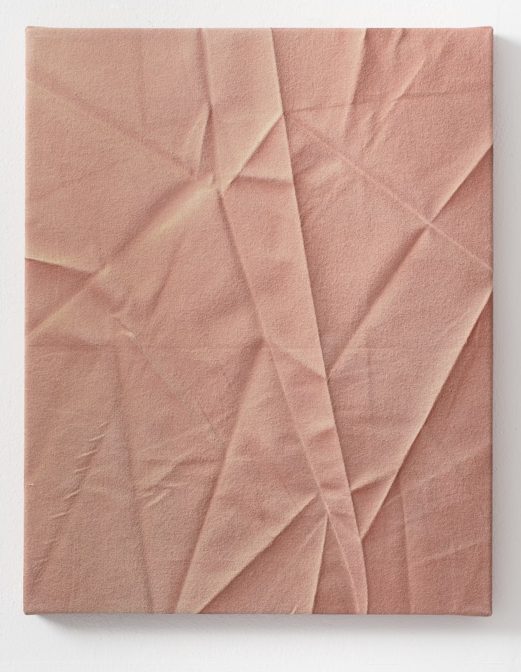 Monika Žáková, Bez názvu/ Untitled (Rhisome C)