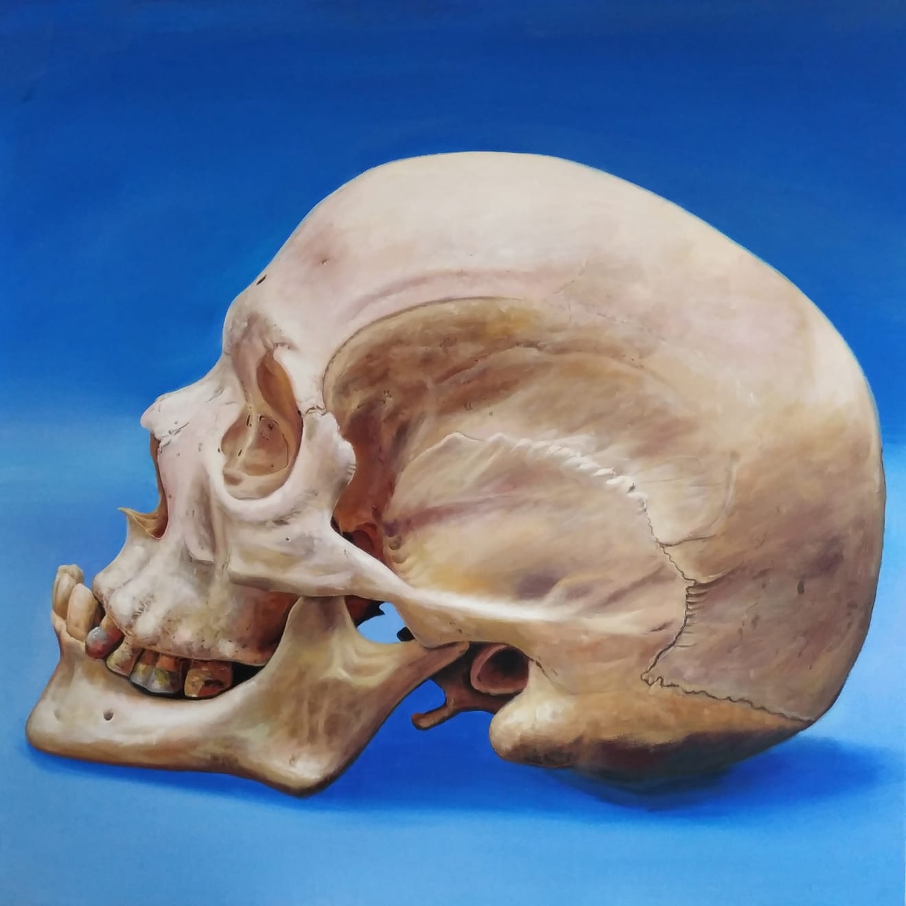 Eugenio Percossi, In The Blue