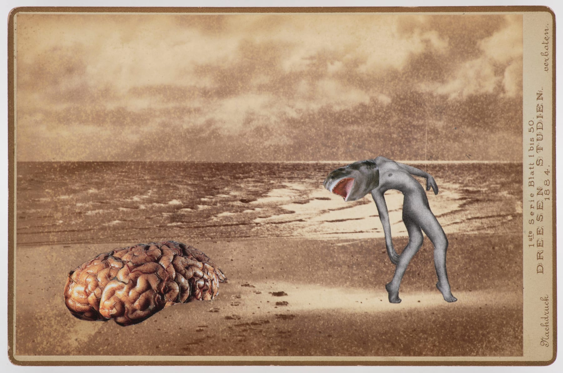 Erika Bader, Untitled, 2021