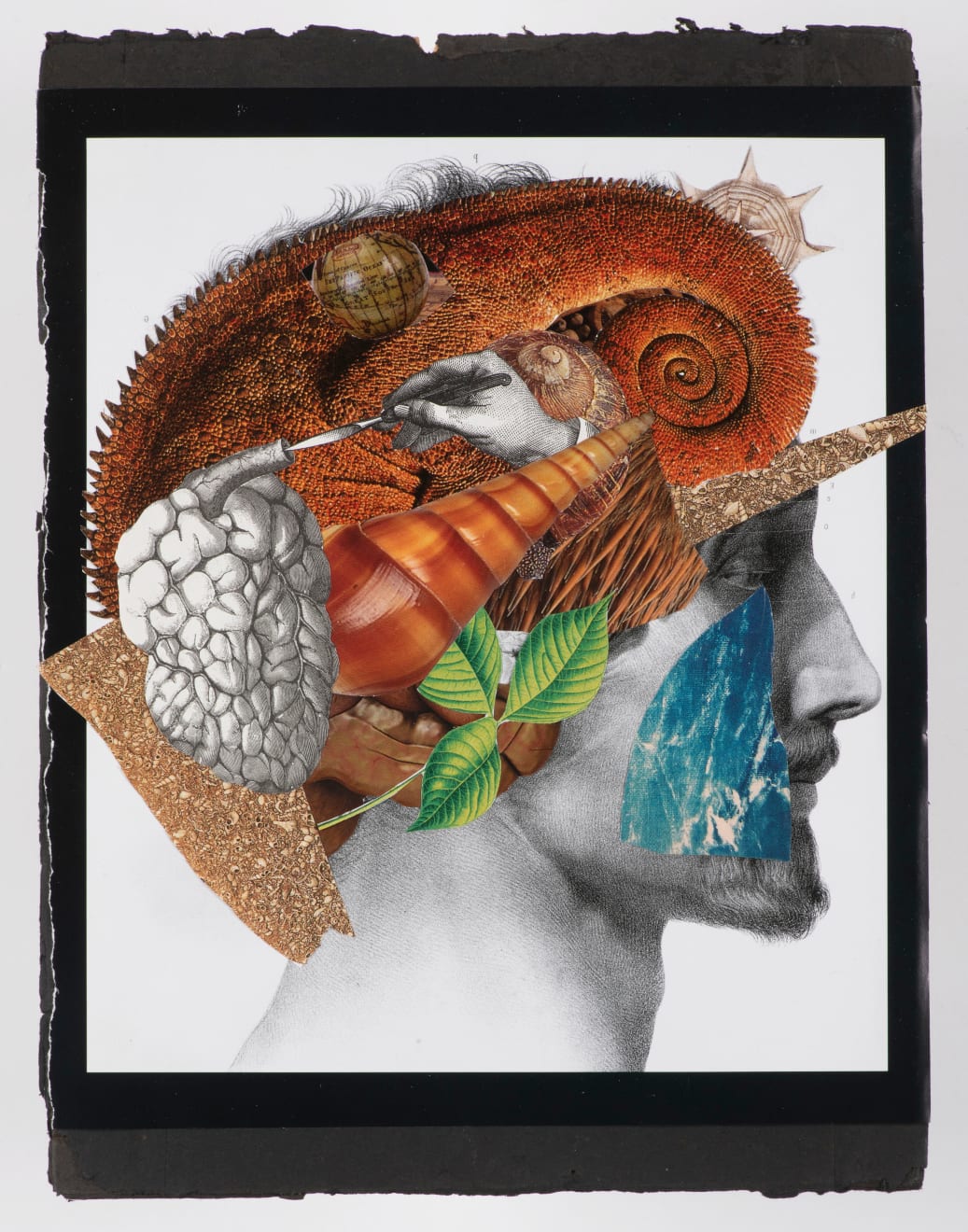 Erika Bader, Hlava / Head, 2015