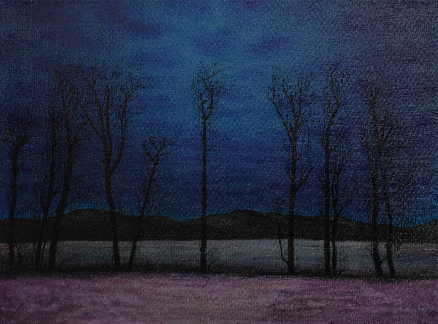 Michal Nagypál, Neviditelná Vltava, 2020