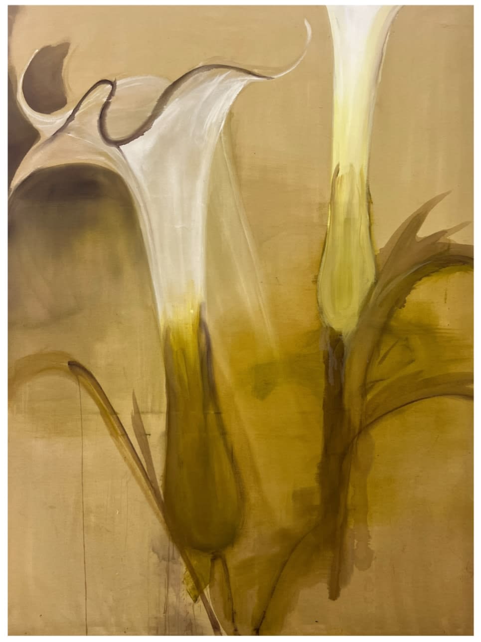 Anna Ruth, Datura II, 2024