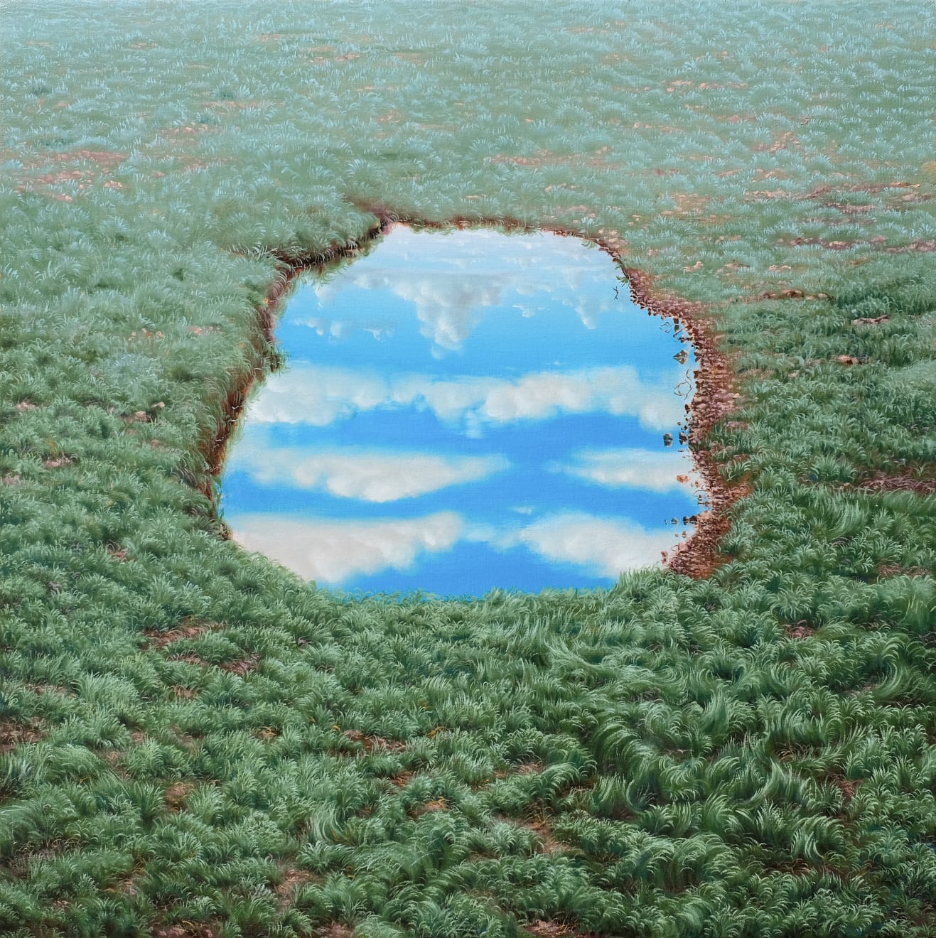 Michal Nagypál, Vítr II, 2020