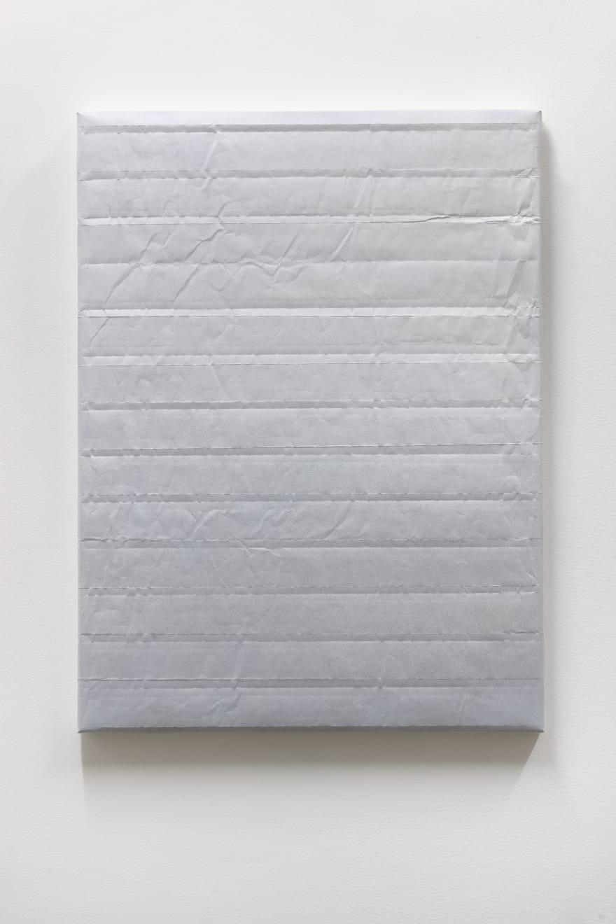 Monika Žáková, bez názvu / untitled, 2018