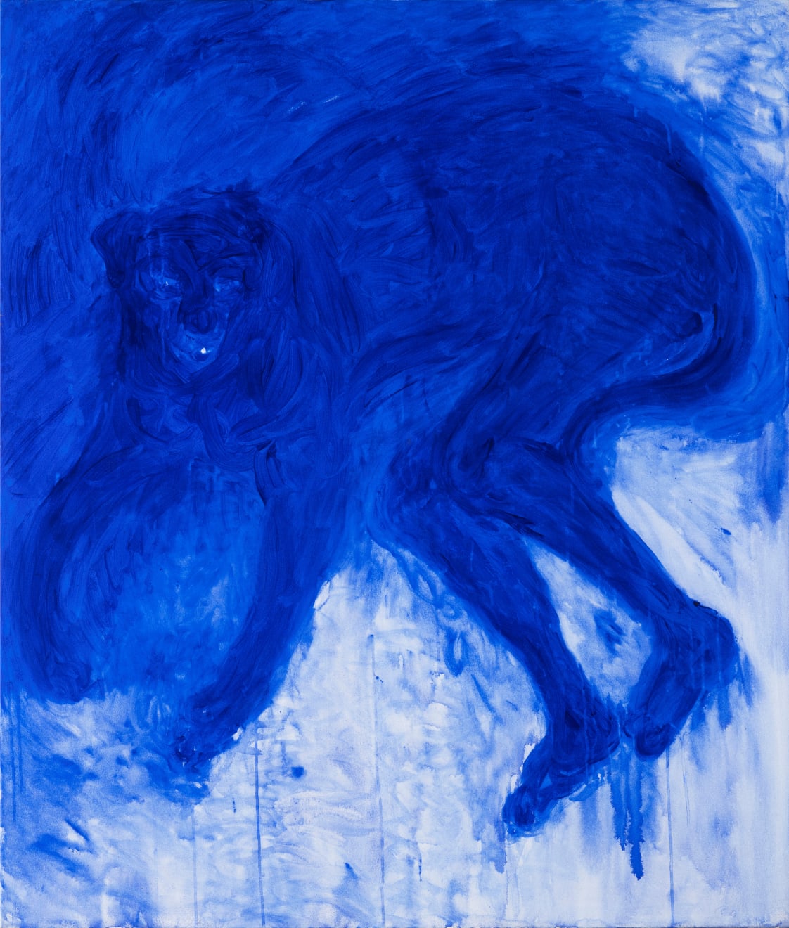 Hana Garová, Šelma, 2024