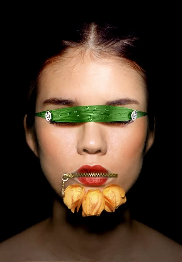 Synteborg, Mix f/15, 2008