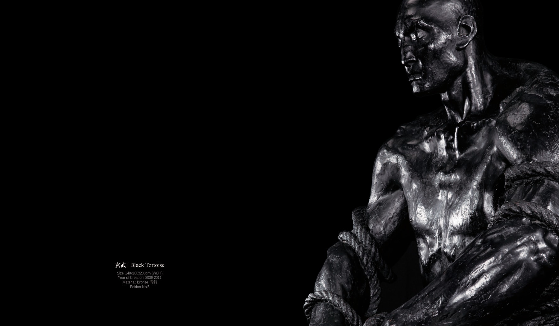 Ren Zhe任哲, Black Tortoise玄武 (M), 2009-2011