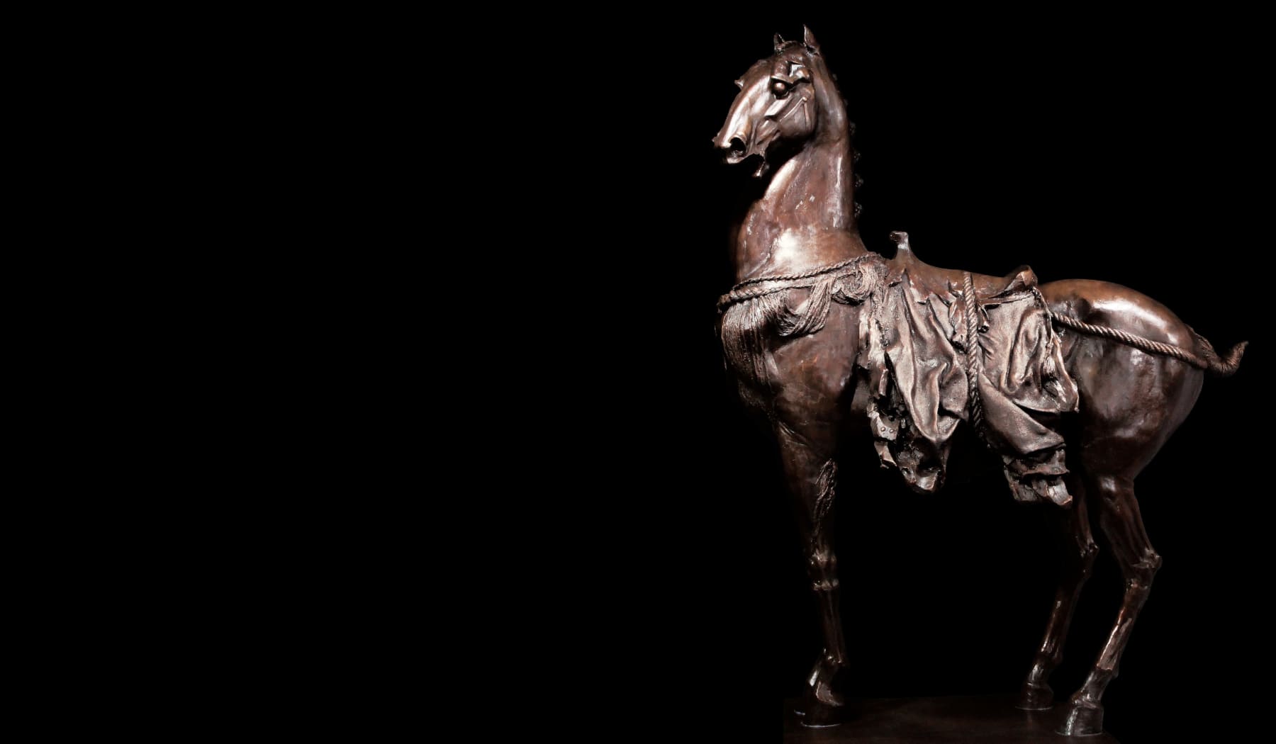 Ren Zhe任哲, Far-reaching Ambition- Horse四海心戰馬 (M), 2013