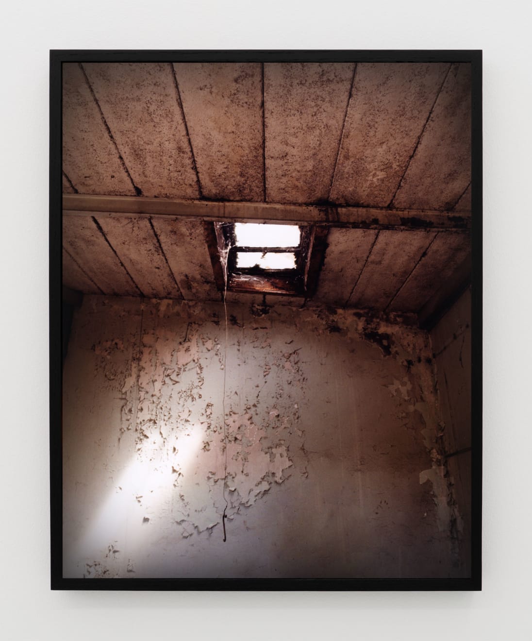 Simona Popovic, rising, 2025