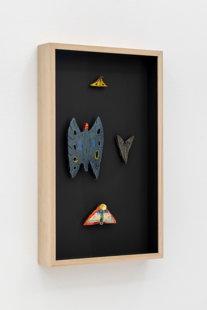 Sune Christiansen, Arter/Species #5, 2025