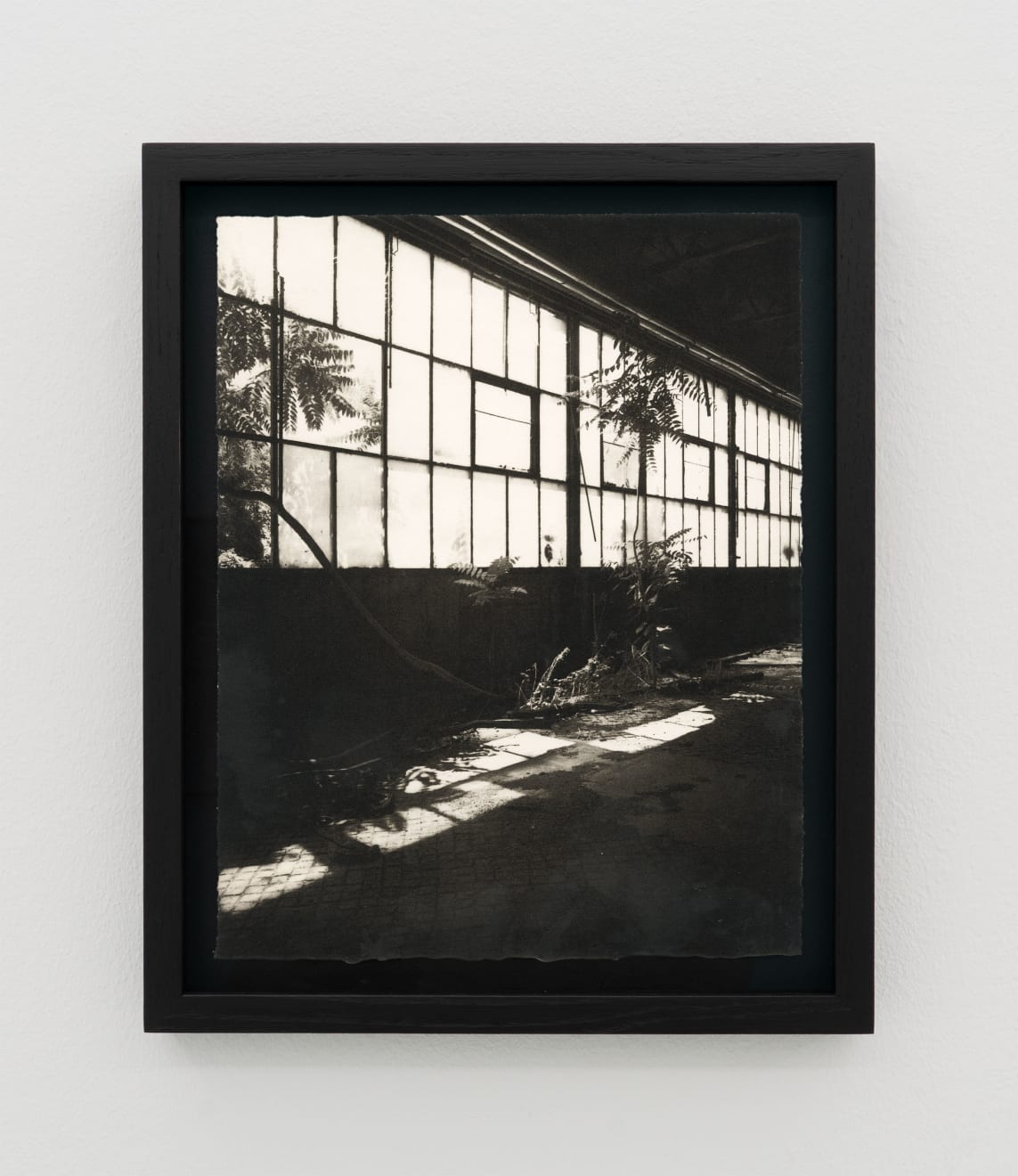 Simona Popovic, penetration of my enclosure, 2025