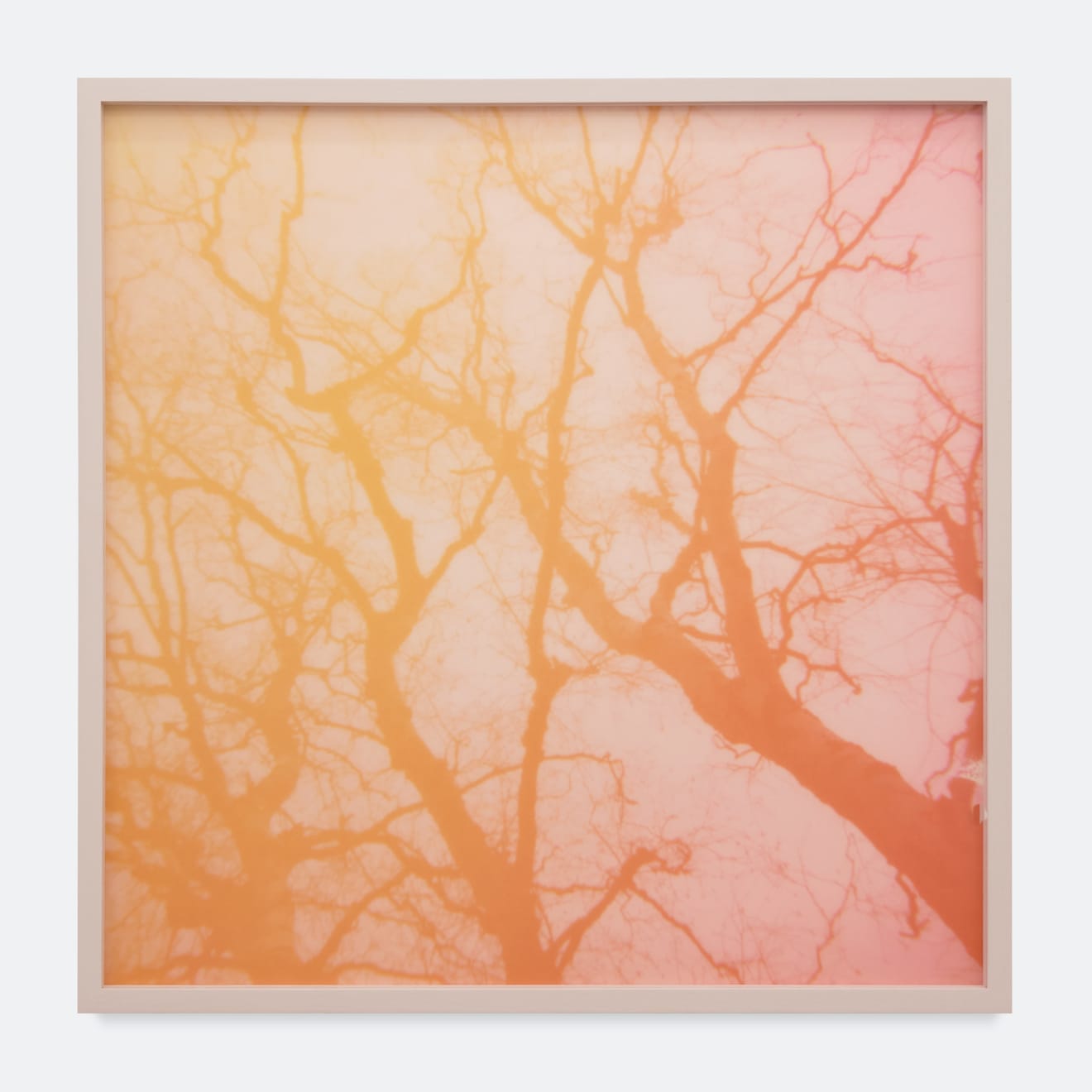 Carolina Echeverri, Soft Fascination, 2021