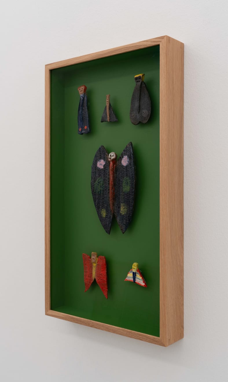 Sune Christiansen, Arter/Species #16, 2025