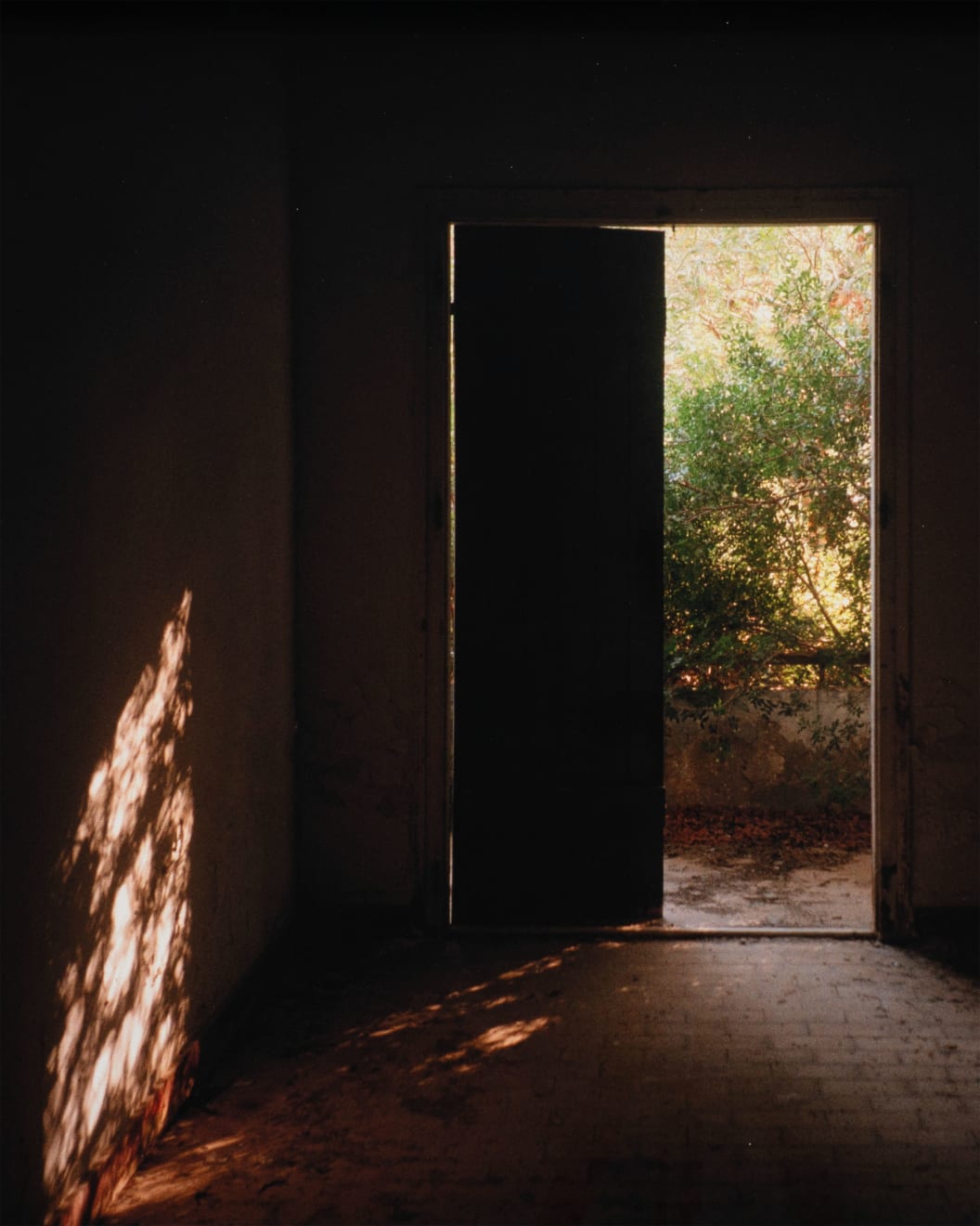 Simona Popovic, Mellem skygge og hjerte #1, 2025