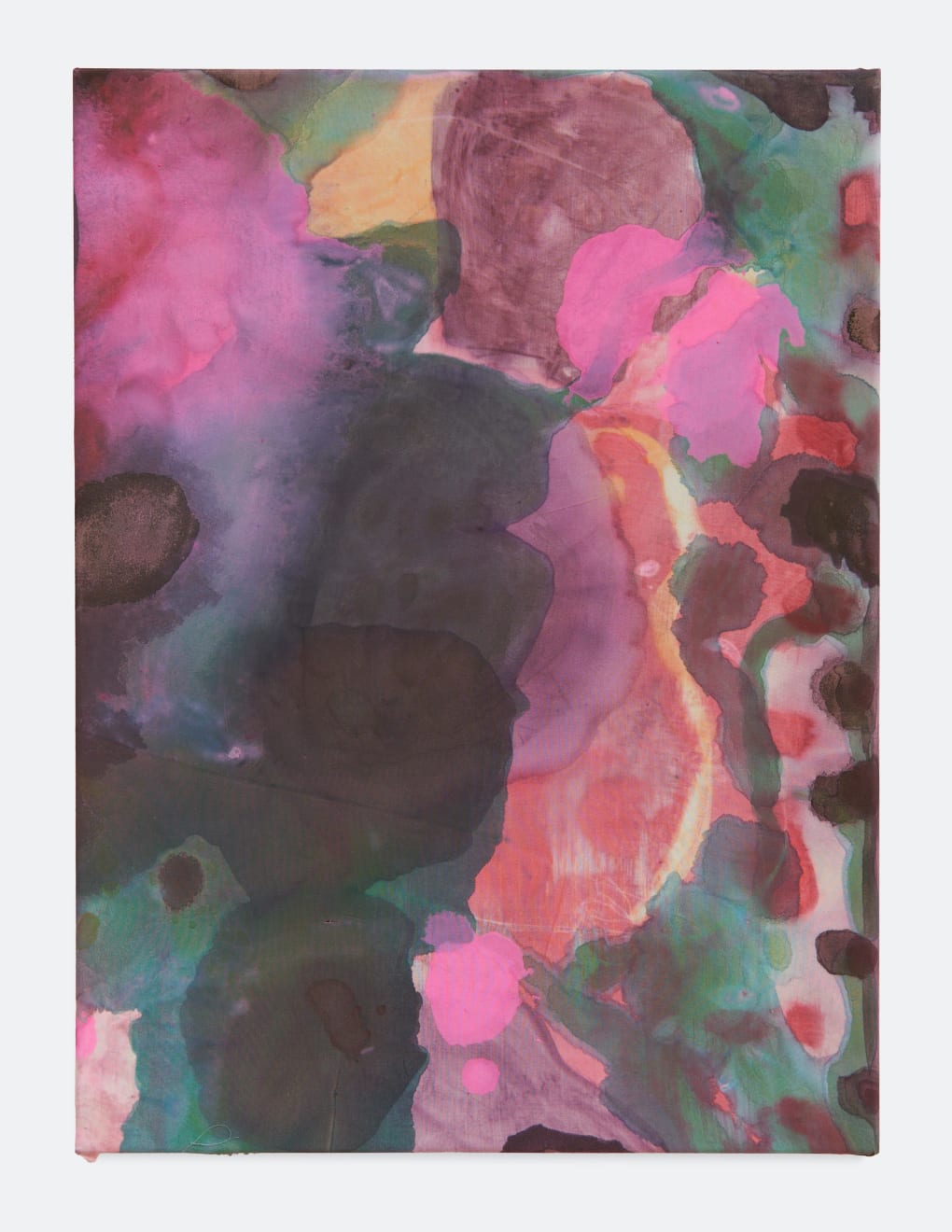 Jakob Steen, Heads Gone Wrong, 2024