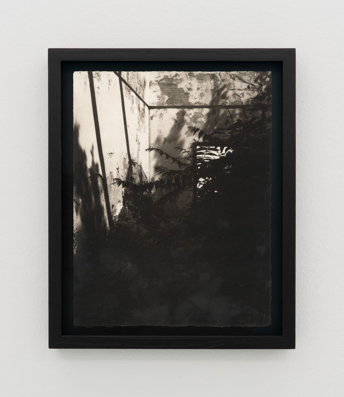 Simona Popovic, describe me from the inside, 2025