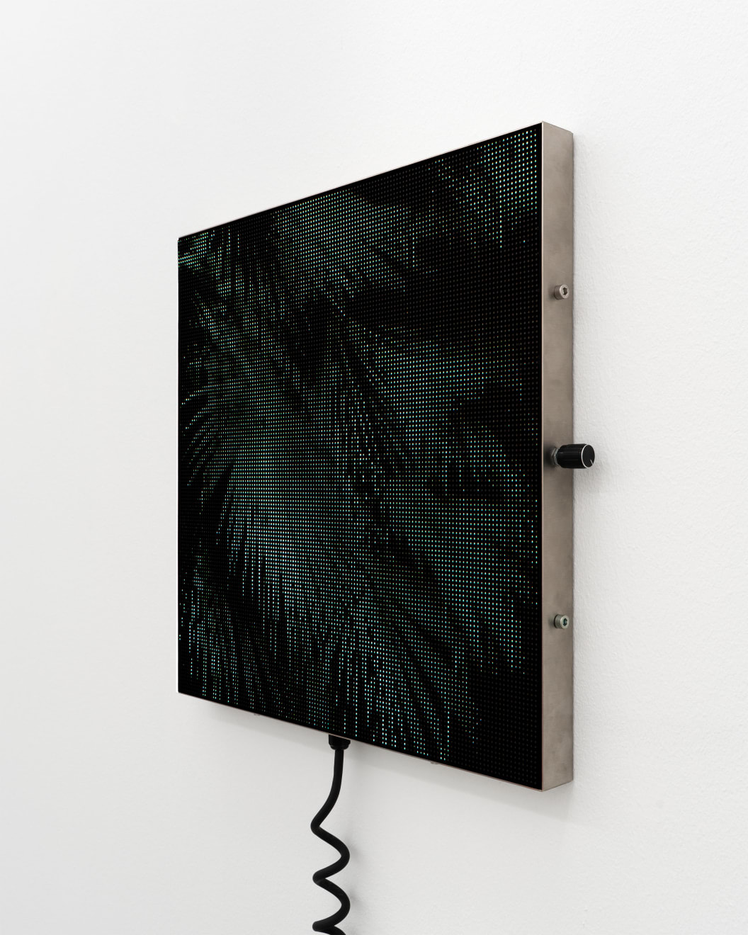 Spøgelsesmaskinen, Brahea Armata, 2025