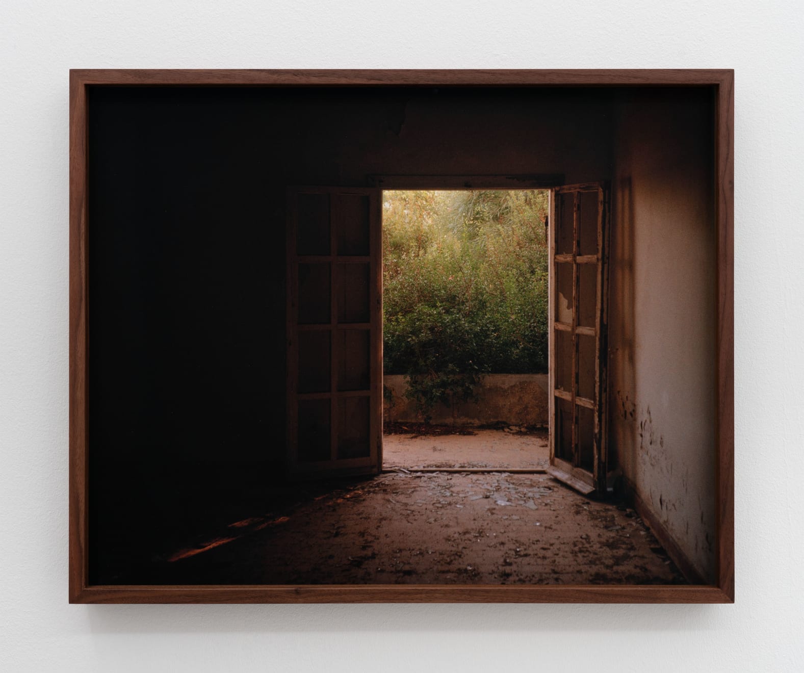 Simona Popovic, Mellem skygge og hjerte #2, 2025