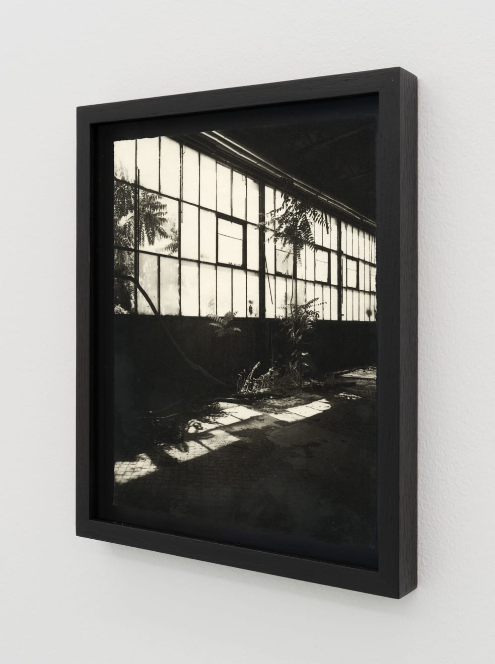 Simona Popovic, penetration of my enclosure, 2025