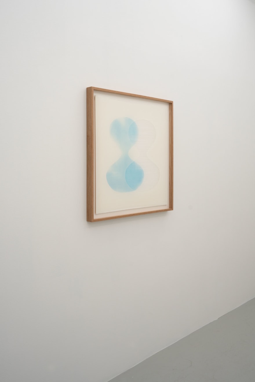 Martha Skou, Symbiotic, 2024