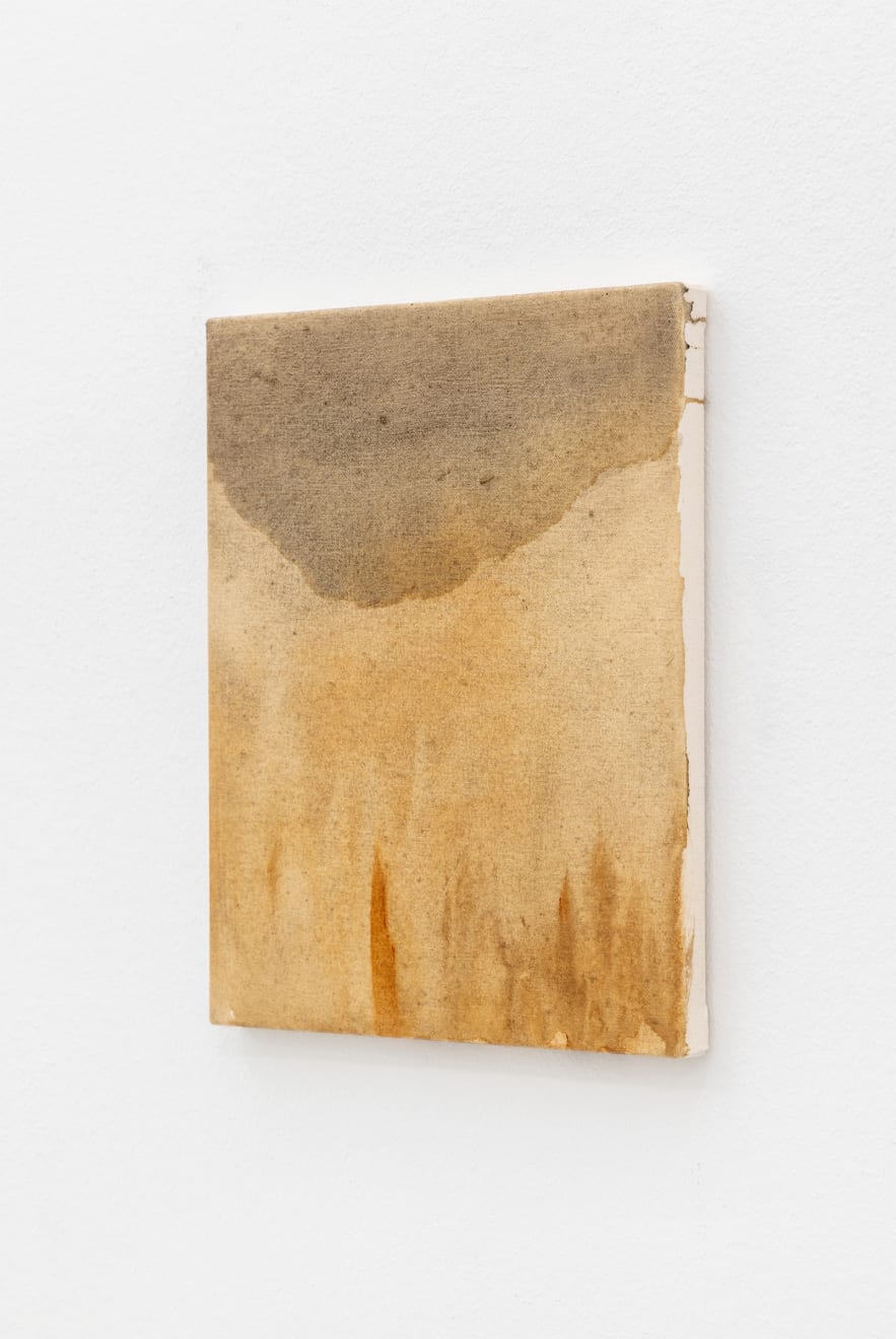 Pauline Fransson, Den smutsiga jorden (The Dirty Soil), 2024