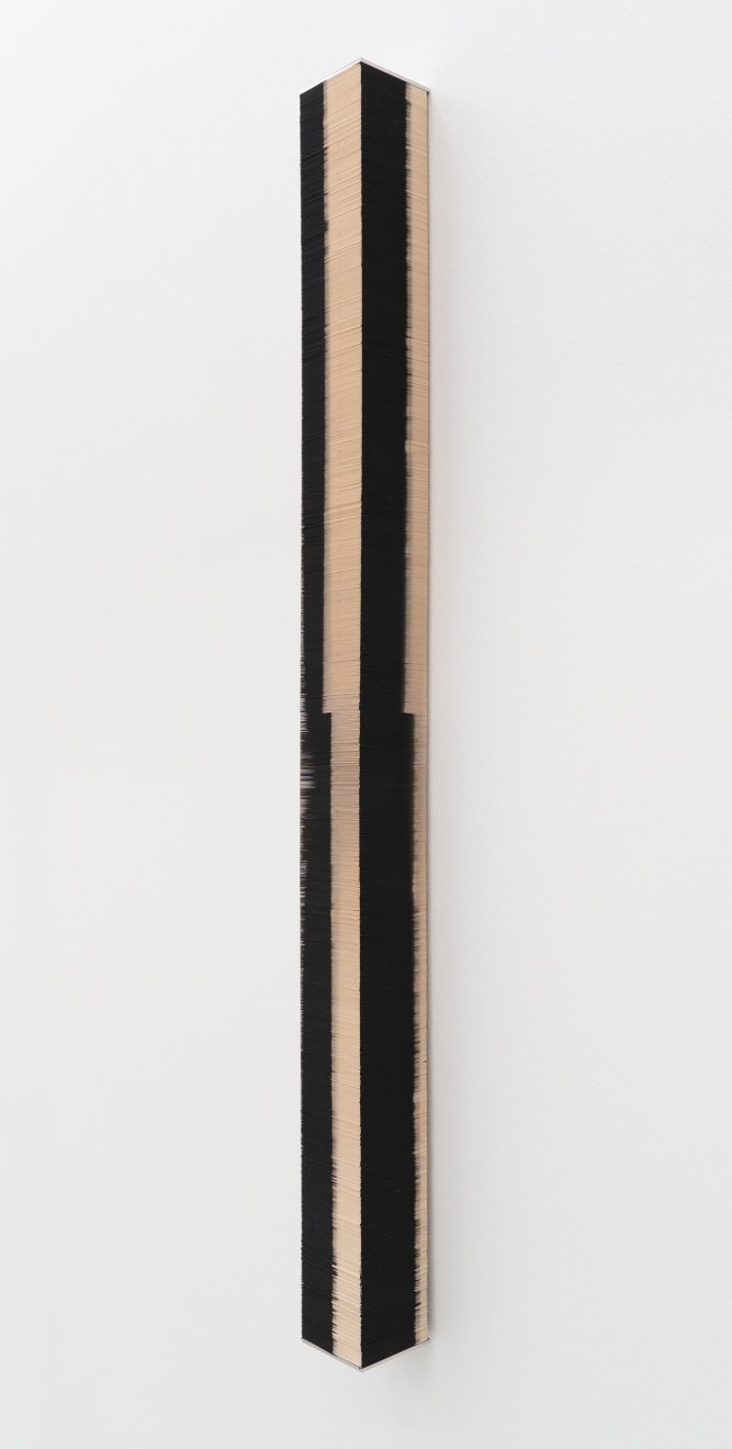 Inka Bell, Six Stages of Black and White, 2025