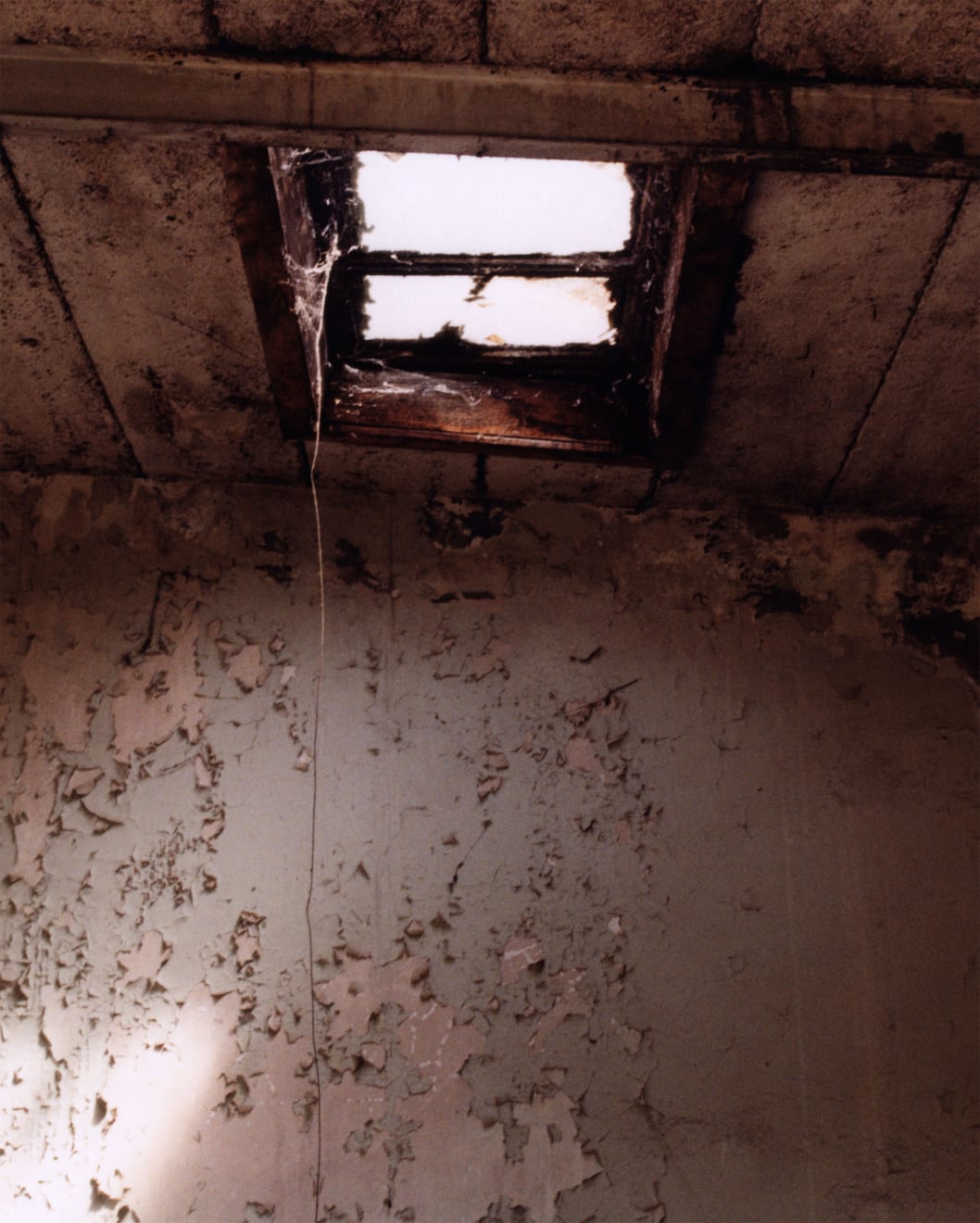 Simona Popovic, rising, 2025