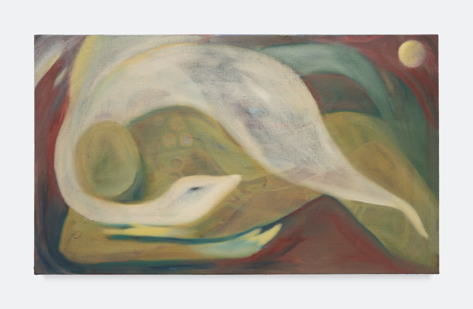 Signe Høi, Here Comes The Goodbye, 2023