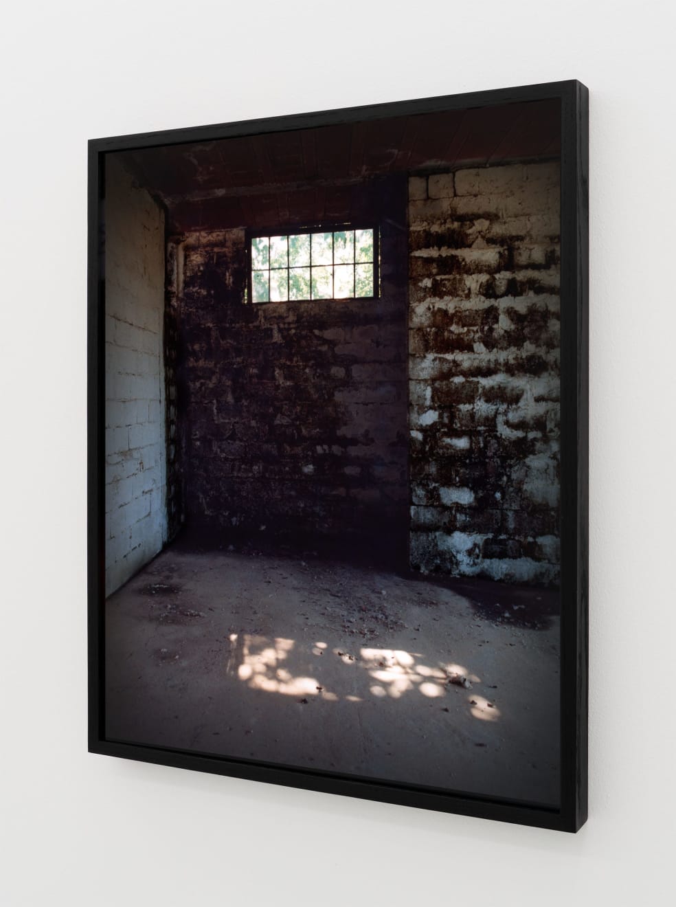 Simona Popovic, ameliorate, 2025