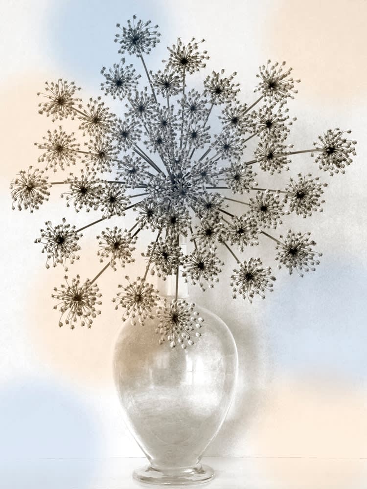 Helen Sear, Wild Fennel, 2020