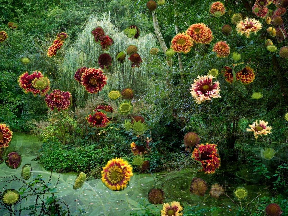 Helen Sear, Powdermill Ponds I, 2020