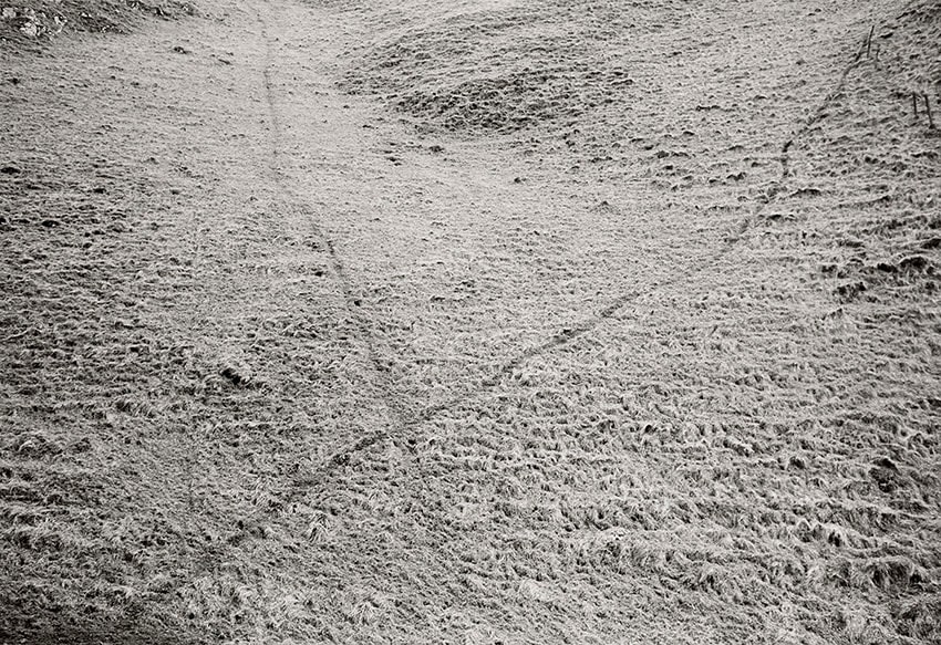 Paul Hill, Badger Runs, Wolfescotedale , 1988