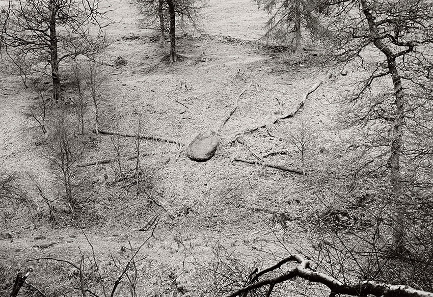Paul Hill, Stone and Fallen Trees, Gradbach , 1989