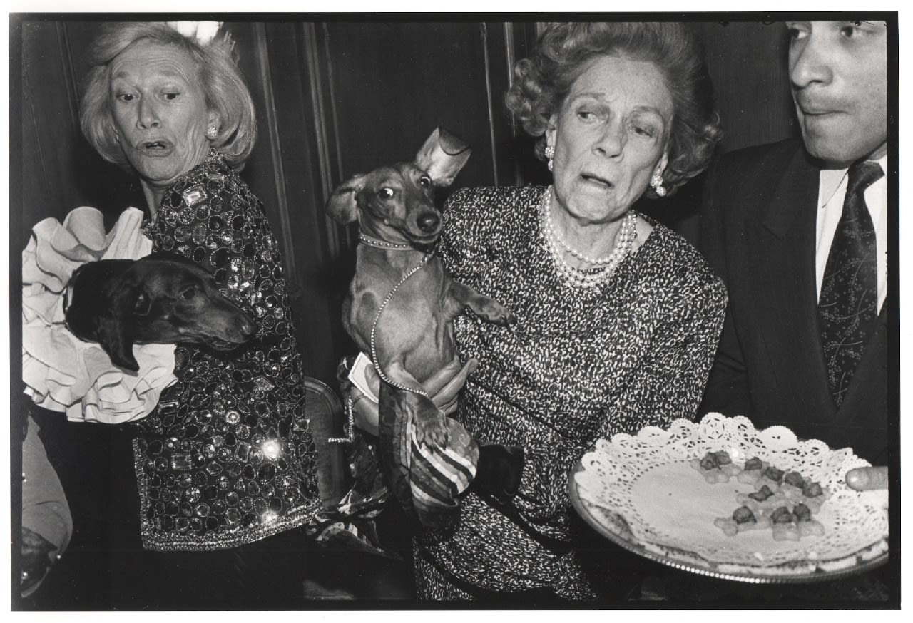 Dafydd Jones, Iris Love..., 1990