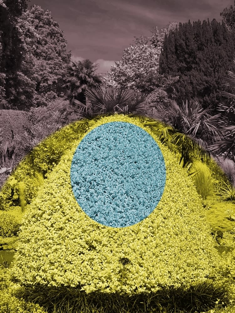 Helen Sear, Surreal Bush 3, 2020