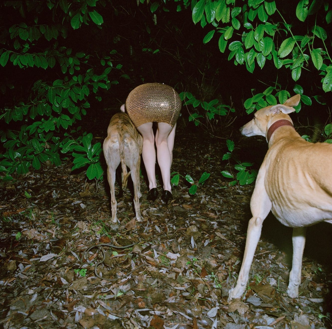 Anna Fox, Country Girls, Untitled 10, 1997