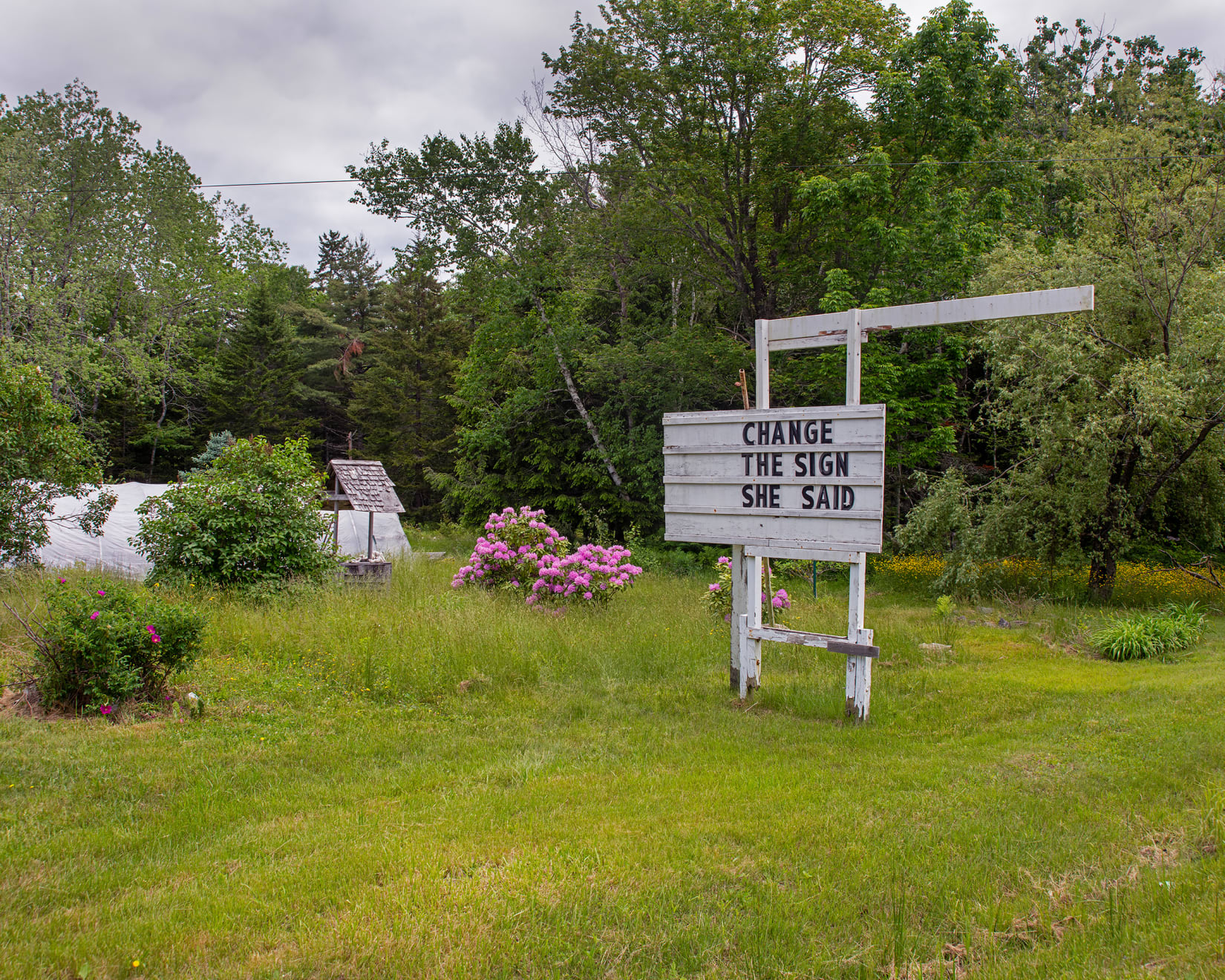 Anna Fox & Karen Knorr, US1 Route, near Belfast, Maine, 2024