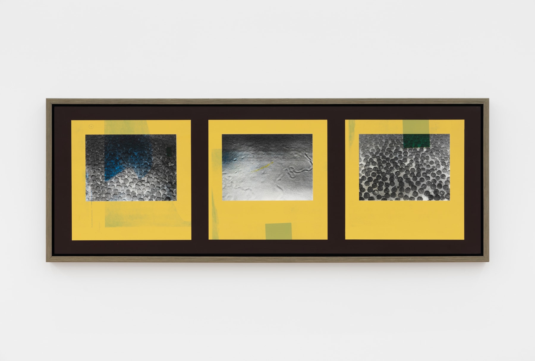 Jamilah Sabur, Eltanin (jaune), 2022