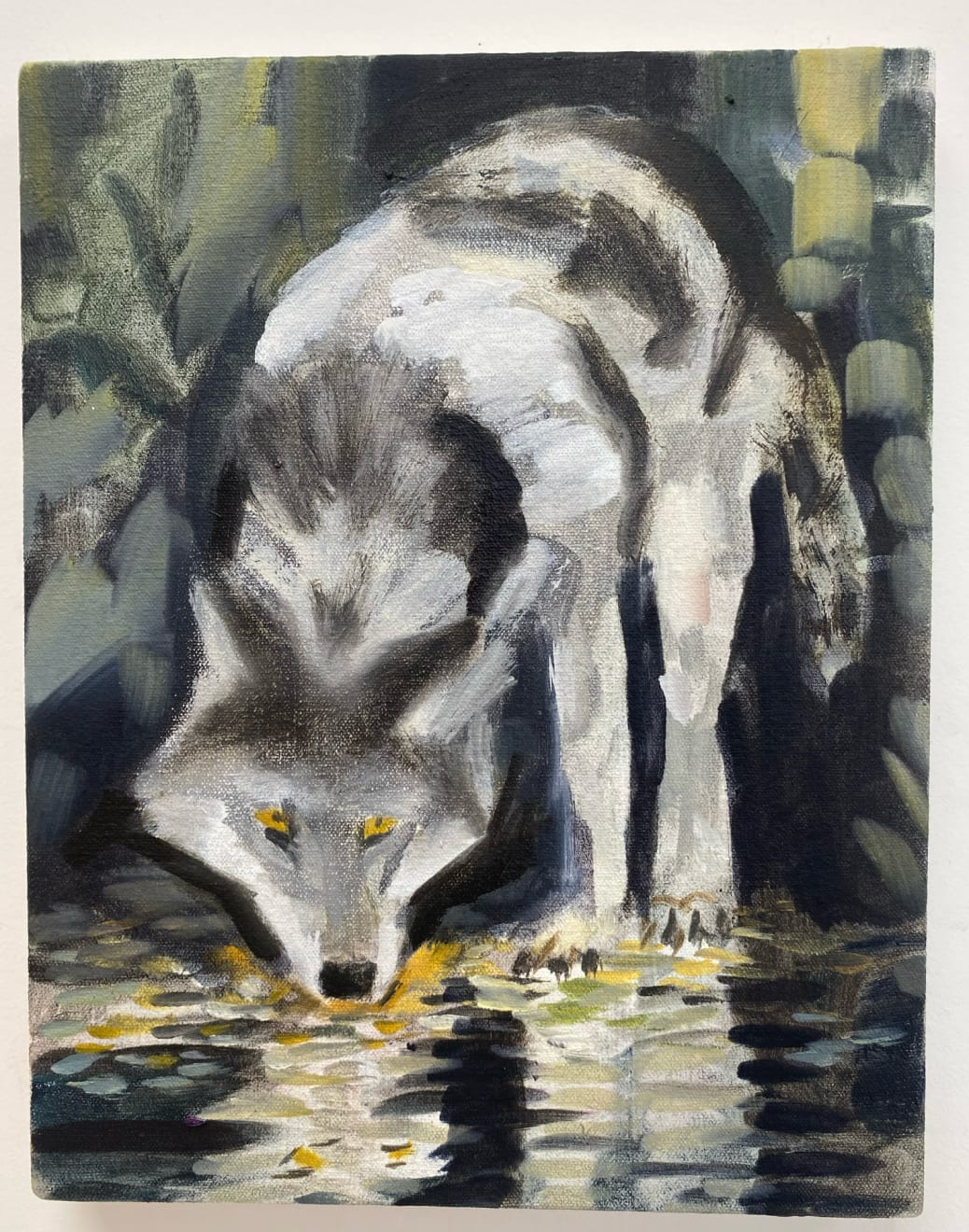 Mari Eastman, Wolf drinking, 2024