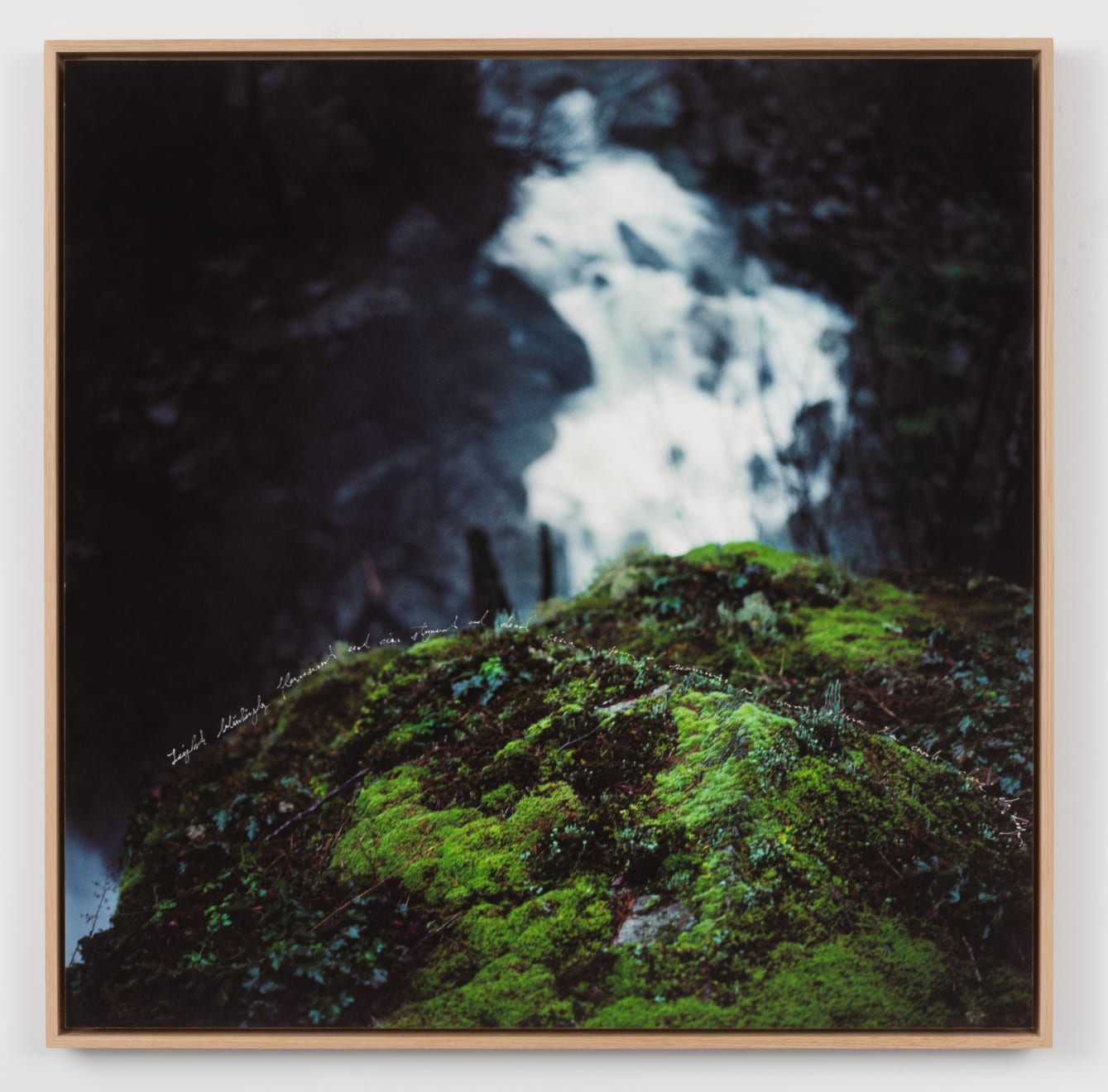 Sky Hopinka, Wiijop, 2024