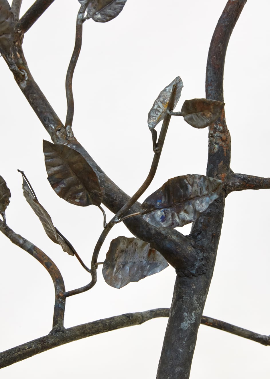 Rob Branigan, Ornamental Crime (After G.D. Ehret), 2019