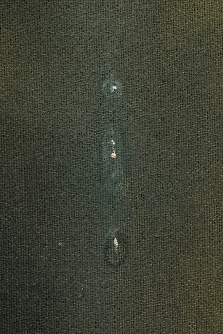 Anna Ruth, Dripping Birds, 2025