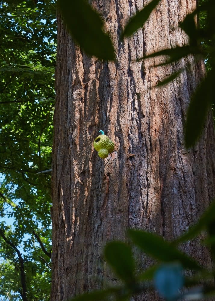 Victor Lim Seaward, Fruit Nest, 2020