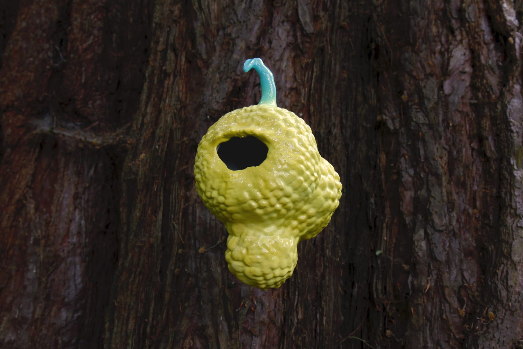 Victor Lim Seaward, Fruit Nest, 2020