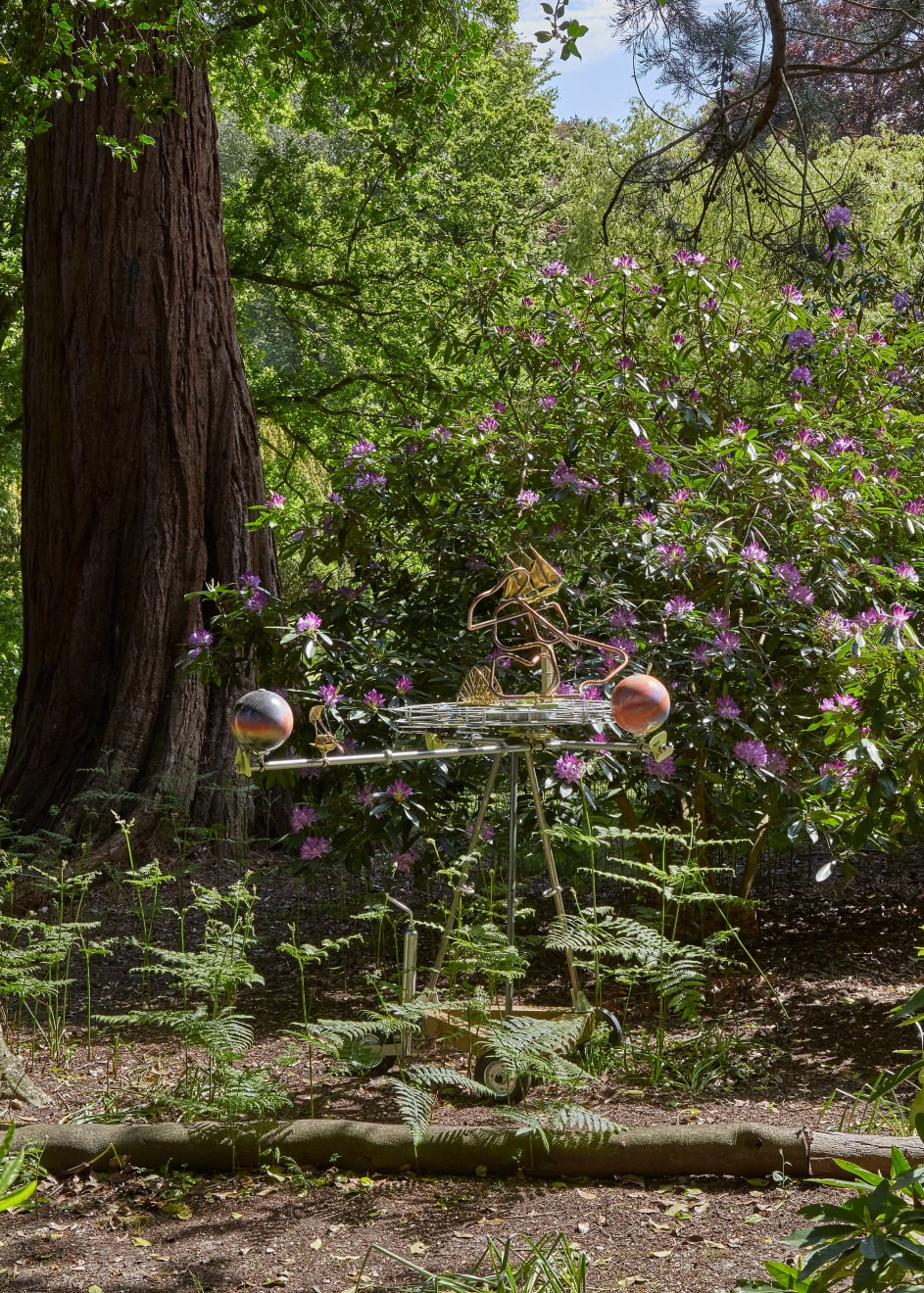 Tim Ellis, Sail to the Moon, 2022