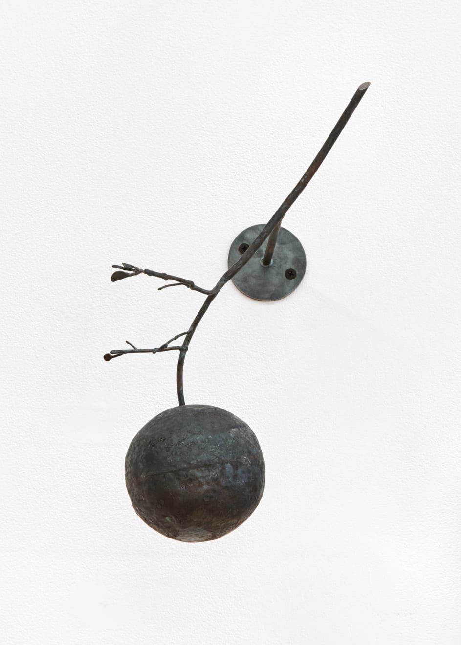 Rob Branigan, Citrus x Paradisi (After Deborah Griscom Pasmore), 2019