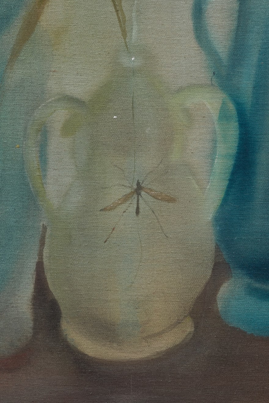 Anna Ruth, Work of light, 2024